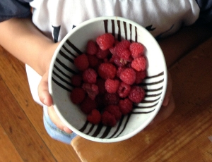 bowl with berries